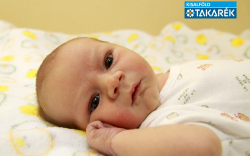 Bálint Áron, Mosonmagyaróvár