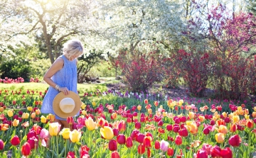 Tavaszváró tippek kertbarátoknak és balkonkertészeknek