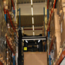 Kőrisfacsemetéket ültettek a diákok a Nolato Magyarország Kft telephelyén