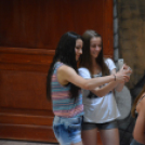 Nyárcsalogató (Fotó: Nagy Mária)