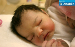 Gál Dorina Mia, Jánossomorja