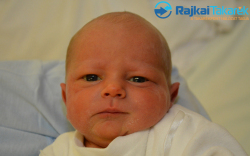 Molnár Marcell, 3120 gr. Rajka