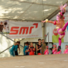 Szigetköz ízei, vármegye borai fesztivál / VÁRMEGYE SZÉPE - VÁRMEGYE HANGJA (Fotó: Horváth Attila)