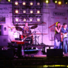  Szigetköz ízei, Vármegye borai Fesztivál 2. nap (Fotó: Stipkovits Veronika, Bánhegyi István)