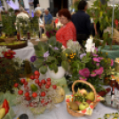 Termény- és virágkiállítás 