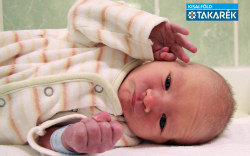 Haskó Dániel, Dunakiliti