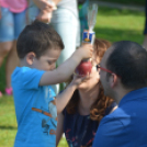 Mosonmagyaróvári Kézilabda SE faültetés (Fotó: Bánhegyi István)