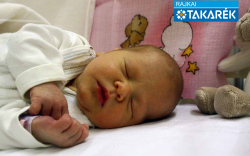 Molnár Mira, Darnózseli