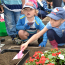 VI. Apró kezek, Csodakertek Gyermek Kertépítő verseny (Fotó: Bánhegyi István)