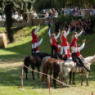 XII. Szigetköz ízei, Vármegye borai Fesztivál 2. nap