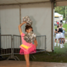 Szigetköz ízei, Vármegye borai Fesztivál - 1 nap