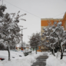 Mosonmagyaróvár Havazás után (Fotó: Nagy Mária)