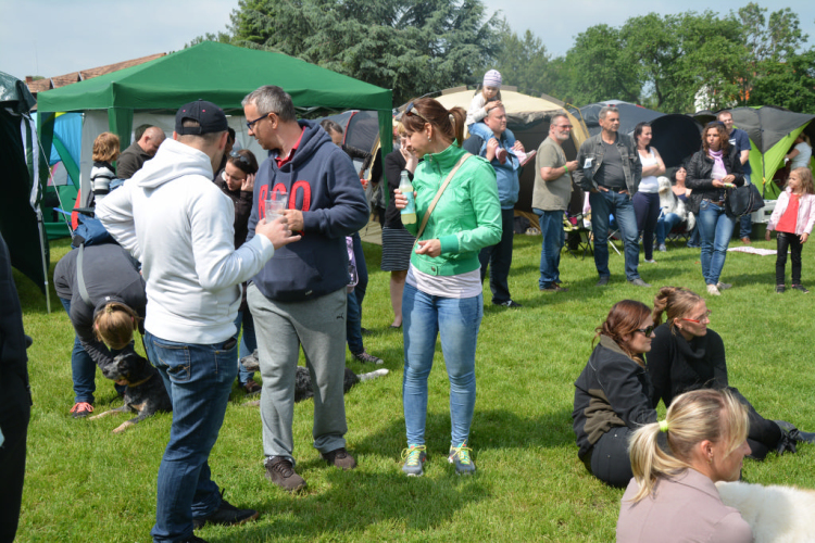 CAC kutyakiállítás (Fotó: Nagy Mária)