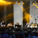 Tiszta Amerika - Vár-tó party