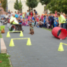 XI. Elfogadás napja