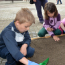 VI. Apró kezek, Csodakertek Gyermek Kertépítő verseny (Fotó: Bánhegyi István)