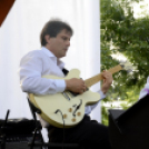 Tiszta Amerika - Vár-tó party