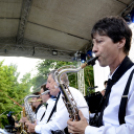 Tiszta Amerika - Vár-tó party