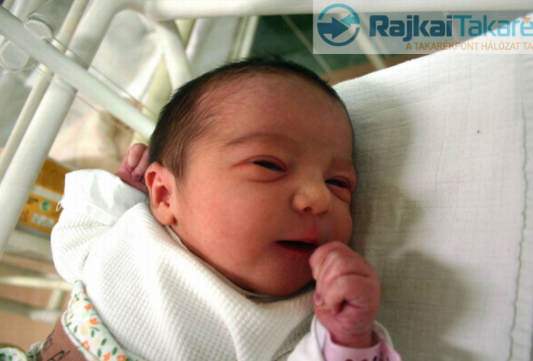 Gősi Ágnes, Mosonmagyaróvár