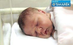 Molnár Ármin Zalán, Mosonmagyaróvár