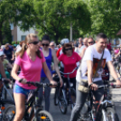 Sport és Egészségnap Mosonmagyaróvár (Fotó: Stipkovits Veronika és Bánhegyi István)