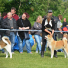 CAC kutyakiállítás (Fotó: Nagy Mária)