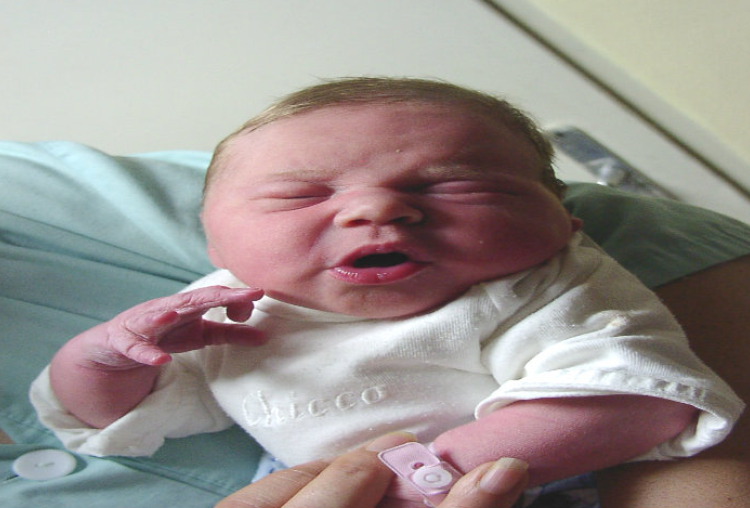 Körtvélyesi Réka-Móvár