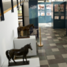 XXXVII. Óvári Tudományos Napok megnyitó