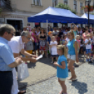 VII. Apró kezek, csodakertek Gyermek Kertépítő verseny