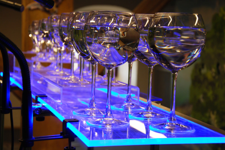 Víz Világnapja 2013 (Fotó: Nagy Mária)