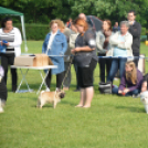 CAC kutyakiállítás (Fotó: Nagy Mária)