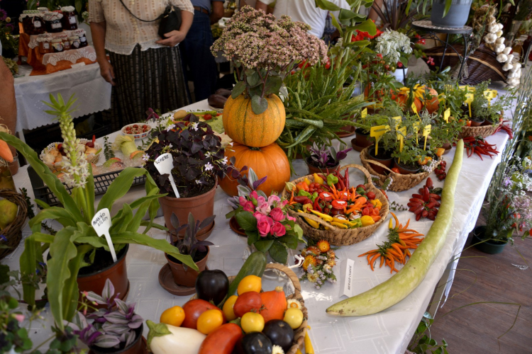 Termény- és virágkiállítás 