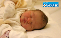 Für Gerda Eliza, Győr