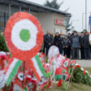 2015. MÁRCIUS 15. Mosonmagyaróvár (Fotó: Horváth Attila)