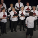 Bántalmazott nők vilgánapja, Jótékonysági műsor a Családok Átmeneti otthona javára