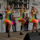 Szigetköz ízei, Vármegye borai Fesztivál 3 nap, 140 Éves Mosonmagyaróvár Város Tűzoltósága (Fotó: Bánhegyi István)