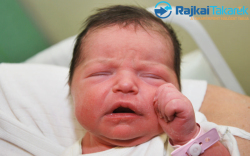 Smuk Zoé, 3400 gr. Jánossomorja