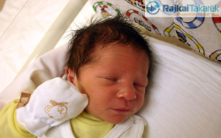 Sárközi Kornél, Dunakiliti