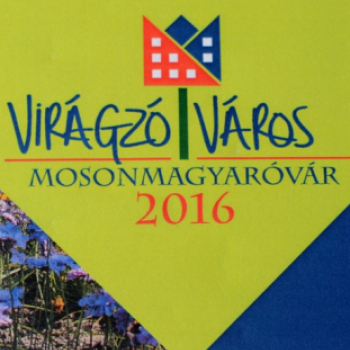 Lakossági Fórum (Fotó: Bánhegyi István)