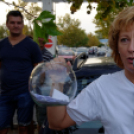 Gurul a város 4 (Fotó: Horváth Attila)