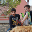 XI. Szigetköz ízei, Vármegye borai Fesztivál 3. nap