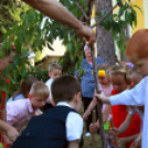  Ballagás a Pillangó Óvodában és Mini Bölcsődében