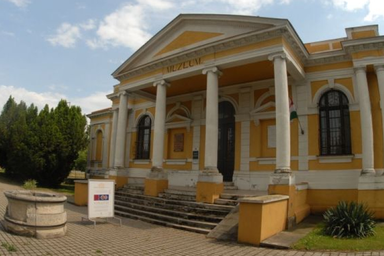 Pasztellképek restaurálása a Hansági Múzeumban