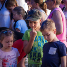 Apró kezek, Csodakertek - IX. Gyermek Kertépítő Verseny