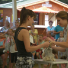 XII. Szigetköz ízei, Vármegye borai Fesztivál 3. nap