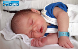 Szakál Zalán Vajk, Mosonmagyaróvár