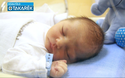 Jova Ákos István, Károlyháza