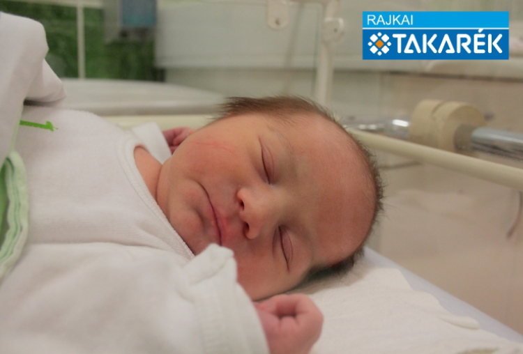 Hóni Tamara, Mosonmagyaróvár