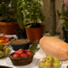 Termény- és virágkiállítás 