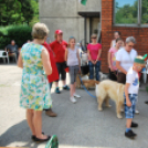 Családi nap a Gyerekek Átmeneti Otthonában